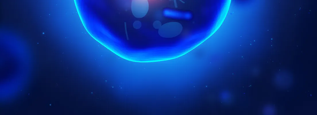 From Cells to Stars: A Cosmic Journey